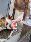 Урок доброти