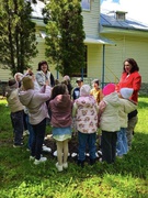 Цілющий ліс.Завершення