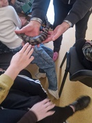 Екзотичні гості у нашій гімназії!