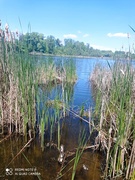 Мандрівка у долину Мумі тролів