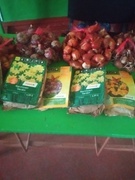 Всеукраїнський благодійний освітній проєкт #Flowers4School