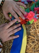 Під стягом Українці йдуть