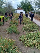 20 вересня - Всесвітній день прибирання (World Cleanup Day)