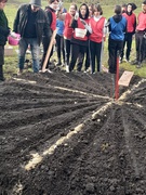 Всеукраїнський проєкт flowers4school