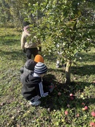 Осінь дарує щедрість – ми додаємо старання!