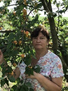 Васюрина Надія Миколаївна