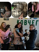 Ноїв ковчег