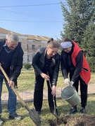 Квітучі алеї