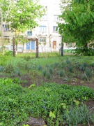 Всесвітній День охорони навколишнього середовища