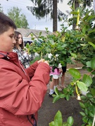 День вшанування пам'яті дітей, які загинули внаслідок російсько-української війни