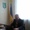 Шеремета Михайло Михайлович