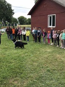 Соціальний проект «Твої долоні»