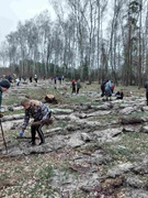 Акція "Створимо ліс разом"