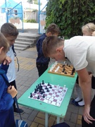 Спорт