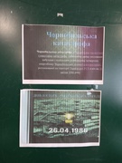 День пам'яті жертв Чорнобильської аварії