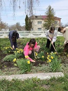 День довкілля