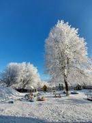 Зима - красуня  біла чарівниця