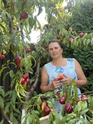 Бабула Алла Анісіївна