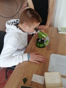 Тиждень природничих наук - Екскурсія в клітинку - 7-8 класи - вчитель Процак О. В.