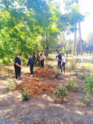 День прибирання "World clean up day"