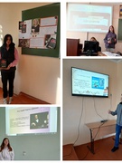 Проєктна діяльність