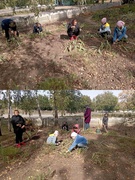 Тиждень початкових класів