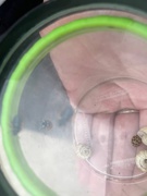 День екології