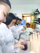 ЛАБОРАТОРНІ ДОСЛІДЖЕННЯ