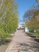 Фото шкільного подвір'я