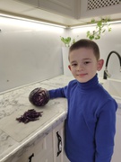 День фіолетовий