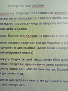 Люди повинні  подбати про птахів- друзів наших садів