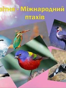 1 квітня Міжнародний день птахів.
