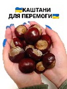 КАШТАНИ ДЛЯ ПЕРЕМОГИ