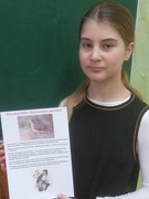 Тиждень природничих наук