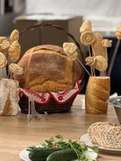 ЦИКЛ ЗАХОДІВ У «КАРІТАСІ»