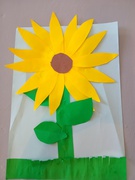 Міжнародний день соняшника