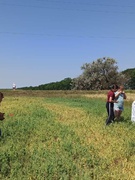 ЕКОЛОГІЧНА СТЕЖКА ДО АЛКАЛІЇ