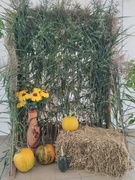 Виставка-огляд "Осінні фантазії"