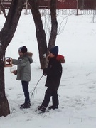 Всеукраїнська акція «Нагодуй птахів взимку»