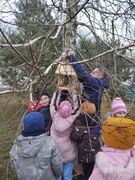 Годівнички для птахів