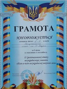 змагання із волейболу II (регіонального) етапу Всеукраїнських змагань "Пліч-о-пліч всеукраїнські шкільні ліги ".
