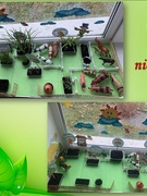 Город на підвіконні