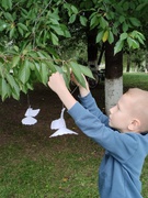 Міжнародний День Миру