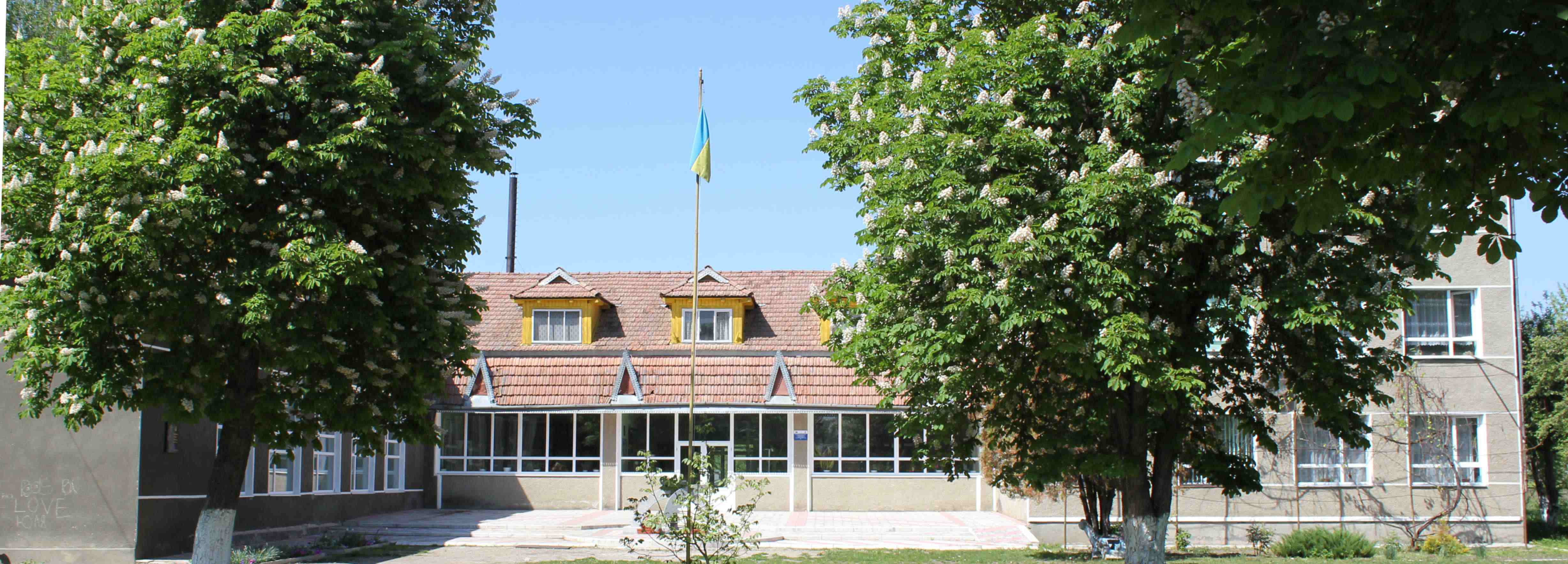 school11.jpg