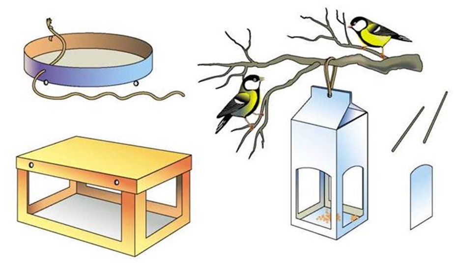 Нарисовать кормушку для птиц окружающий мир 1 класс карандашом поэтапно