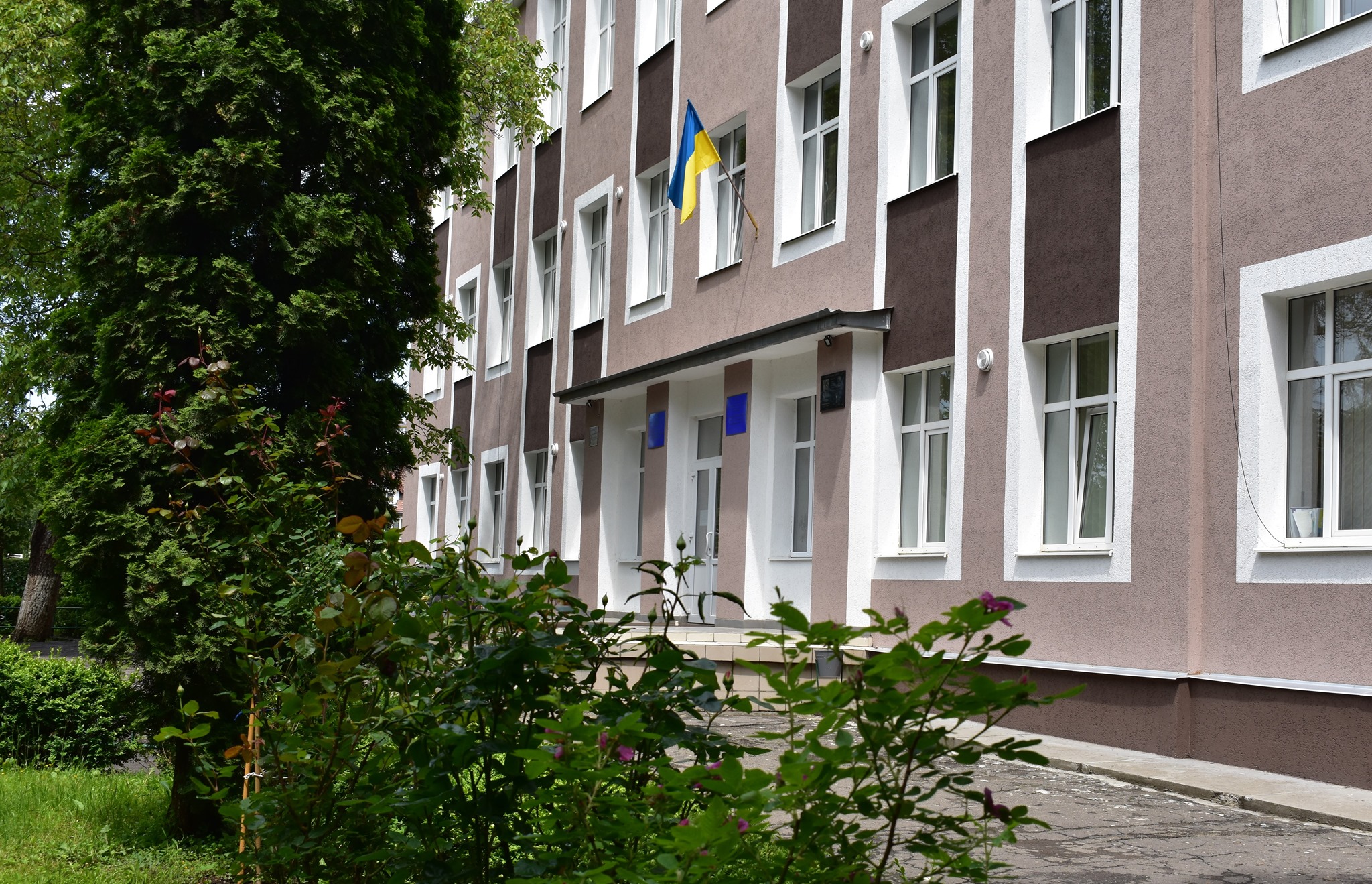 Структура навчального року. Ліцей №8 імені Т.Г.Шевченка м. Чернівці