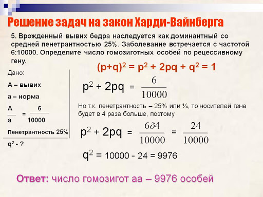 Найдите частоту рождения мальчиков. Уравнение Харди-Вайнберга задачи. Закон Харди Вайнберга задачи с решением. Задачи на Харди Вайнберга с решением. Задачи на закон Харди Вайнберга с пенетрантностью.