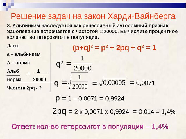 Закон харди вайнберга презентация 11 класс